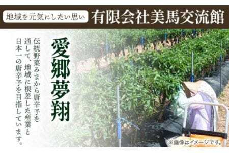 激辛薬味みまから 90g×5袋 有限会社美馬交流館《30日以内に出荷予定(土日祝除く)》