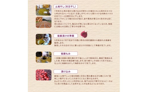 【 梅干し 小分け 】 お土産にピッタリ♪ 梅干し 無添加 南高梅 小分けタイプ 昔ながらのすっぱい しそ漬け梅干し 500g (100g×5P) 梅干し 梅干 梅 うめ ウメ しそ梅干し しそ梅 人