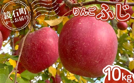 りんご ふじ 10kg （24玉～40玉） リンゴ フルーツ 果物 F6Q-290