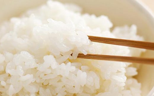 【5ヶ月定期便】七城のこめ 精米 計50kg（5kg×2袋×5回）ヒノヒカリ 《お申込みの翌月から出荷予定》白米 お米 米 おこめ 九州産 熊本県産---003-0297---