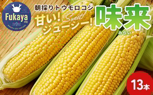 
数量限定！JAふかや　朝採りとうもろこし「味来」　13本入り　【11218-0457】

