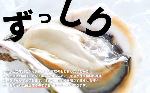 【海士のいわがき】海士町産 いわがき 岩牡蠣 LLサイズ 12個 殻付き 新鮮クリーミーな高級岩牡蠣 冷凍 生食 牡蠣ナイフ 説明書付き 4.8kg〜6kg