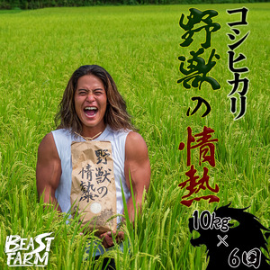 コシヒカリ10kgx6回 コシヒカリコシヒカリコシヒカリ