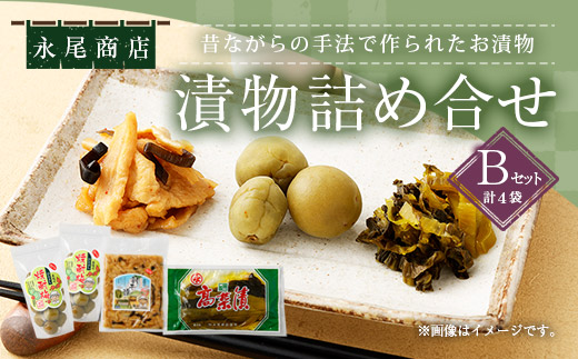永尾商店 漬物 詰め合せ Bセット  3種 計約910g 上高菜（160g）×1袋 人吉割干漬 （250g）×1袋 人吉の焼酎梅 （250g）×2袋 セット 熊本県 相良村