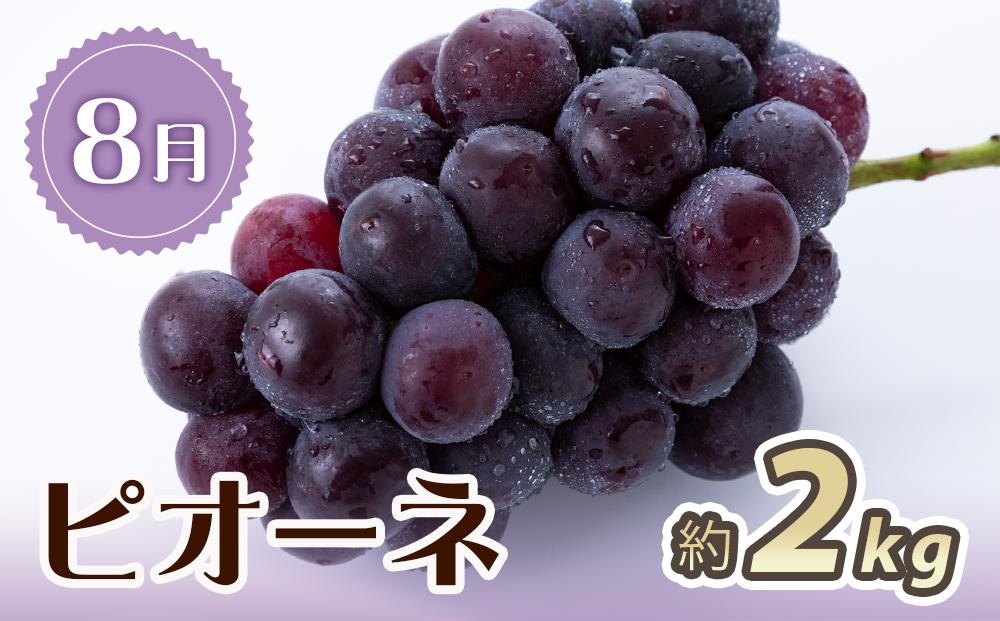 【7・8・10月 全3回】紀州和歌山産旬のフルーツセット（桃・ピオーネ・ひらたねなし柿）定期便 【魚鶴商店】【UT67】
