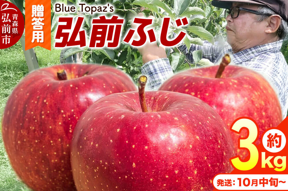 【26年10月中旬〜発送】りんご 弘前ふじ【贈答用】約3kg 内のし付き 青森県 弘前市 [先行予約 アップル おいしい ふじ りんご 果実 果物 赤色 津軽 糖度 美味 林檎]