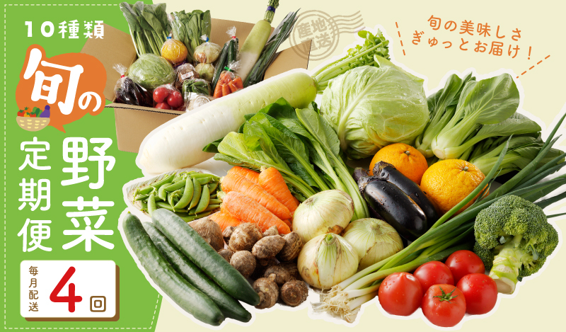 
10種類の新鮮野菜 定期便 全4回 詰め合わせ 国産 冷蔵発送 毎月配送コース【国産 野菜 やさい 詰め合わせ セット 年間 1年 12か月 新鮮 旬 冷蔵発送 ええもん ていきびん】
