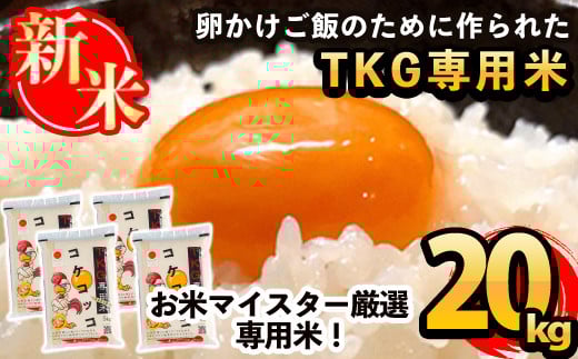 D-052 《令和7年産新米 先行予約受付中！2025年11月以降順次発送予定》日本初！卵かけご飯専用米!コケコッコ(TKG専用米)計20kg(5kg×4パック)【山口米店】お米 精米 白米 米 お米 こめ コメ
