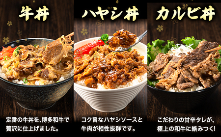 博多和牛 牛丼 ハヤシ丼 カルビ丼 丼ものセット 各 200g x 1パック 600g 清柳食産《30日以内に出荷予定(土日祝除く)》肉 牛肉 和牛 丼 送料無料 鞍手郡 小竹町 お弁当 おかず 小分