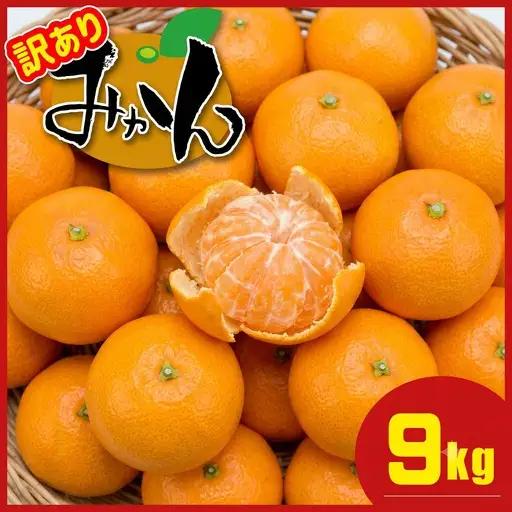 【訳あり】熊本県産 温州みかん 約9kg 味采市場