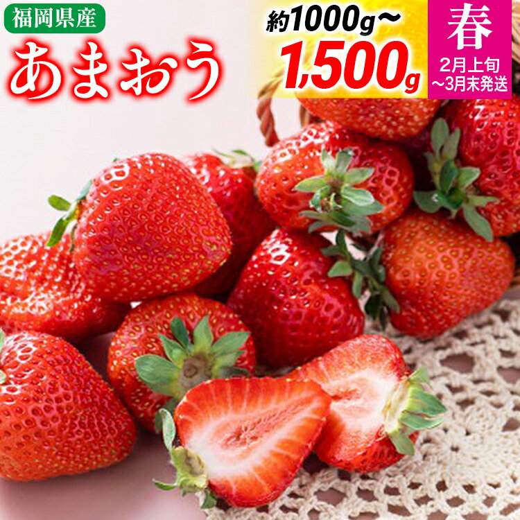 【ふるさと納税】福岡産【春】あまおう 量が選べる 約1000g 約1500g いちご 苺 果物 フルーツ 九州産 福岡県産 【2026年2月上旬から2026年3月末にかけて順次発送】デザート イチゴ 国産 ※北海道・沖縄・離島は配送不可 大木町産 南国フルーツ CO003 CO004