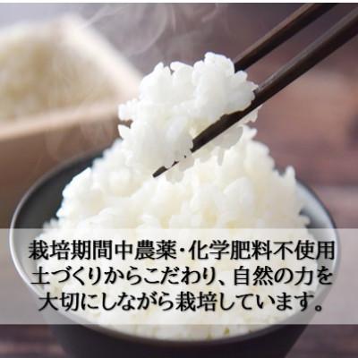ふるさと納税 小矢部市 栽培期間中農薬・化学肥料不使用 こしひかり　白米 5kg×6袋(30kg) |  | 01