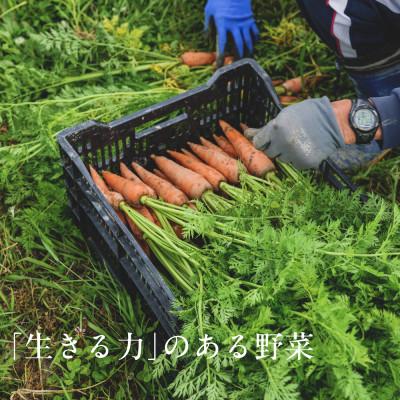 ふるさと納税 掛川市 しあわせ野菜畑の有機野菜　Sセット　(安心の有機JAS認証　旬のオーガニック野菜　農場直送便) |  | 02