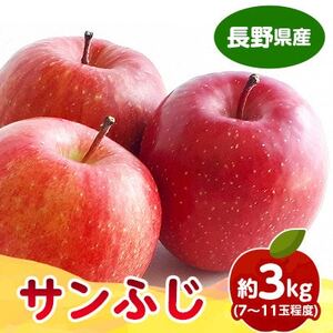 【発送月固定定期便】長野の果物 サクランボ+シャインマスカット+サンふじ全3回【配送不可地域：離島】【4081304】