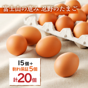 ”忍野の卵”コクの赤玉20個 ※割れ保証含む 卵