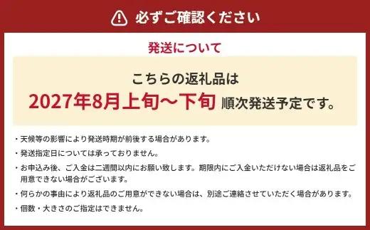 豊水梨 約3kg （4～12玉） ナシ なし 梨 熊本県 熊本市 果物 くだもの フルーツ 果実 果汁 果肉 フレッシュ 水分補給 【 2027年8月上旬 ～ 下旬発送予定 】