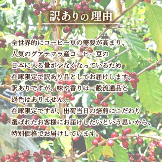 【中煎り】  訳あり コーヒー豆 1kg ( 500g × 2袋 ) 数量限定 グアテマラ 珈琲 自家焙煎 下関 山口