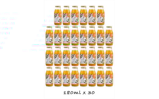 定期便 （2カ月ごと全4回） 小田原産江之浦みかん１００％ストレートジュース１８０ml３０本