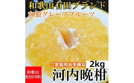 
【有田川町】河内晩柑 2kg 和製グレープフルーツ ブラン 和歌山 ブランド 有田みかん ご家庭用
