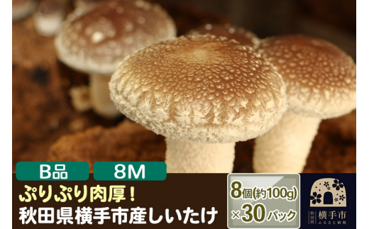 
しいたけ B品 8M（約100g）×30パック
