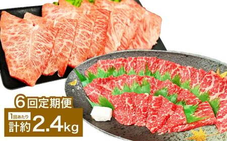 【6カ月定期便】 【赤身 VS ミスジ 食べ比べ！】 おおいた和牛 赤身焼肉 ・ ミスジ焼肉 約2.4kg×6回 計約14.4kg