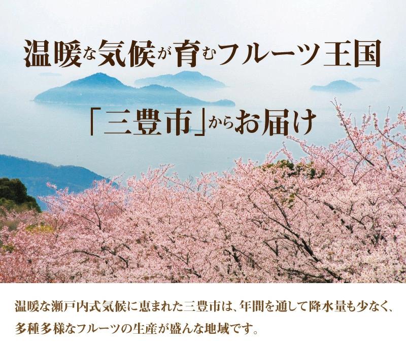 【先行予約】極早生みかんの最高峰 「ゆら早生」 約5kg_M02-0016
