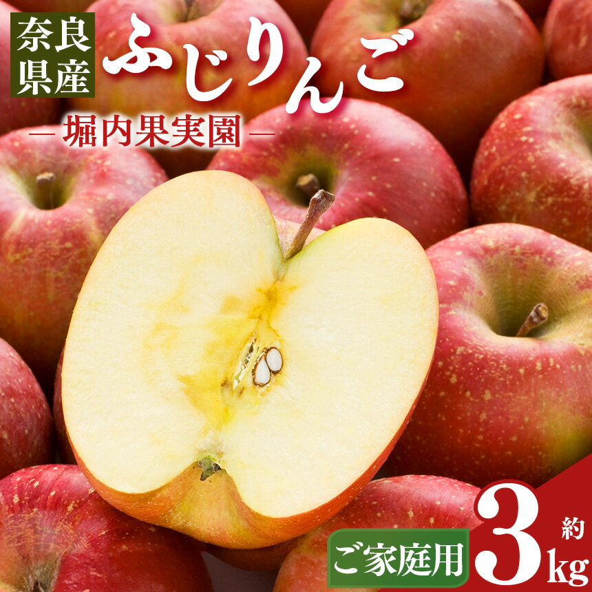 【ふるさと納税】 【 堀内果実園 】奈良県産のふじりんご 約 3kg（ ご 家庭用 ）｜ フルーツ くだもの 果物 りんご 林檎 リンゴ ふじりんご ふじ 富士 奈良県 五條市