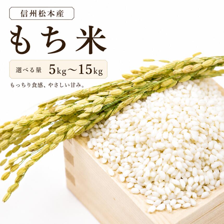 【ふるさと納税】【先行受付：9月中旬発送】【選べる量】信州松本産　もち米 5kg～15kg │ 信州 お米 米 もち米 雪解け水 農家 今摺り 2段低温乾燥 歴史 農家 甘味 旨味 松本 長野県