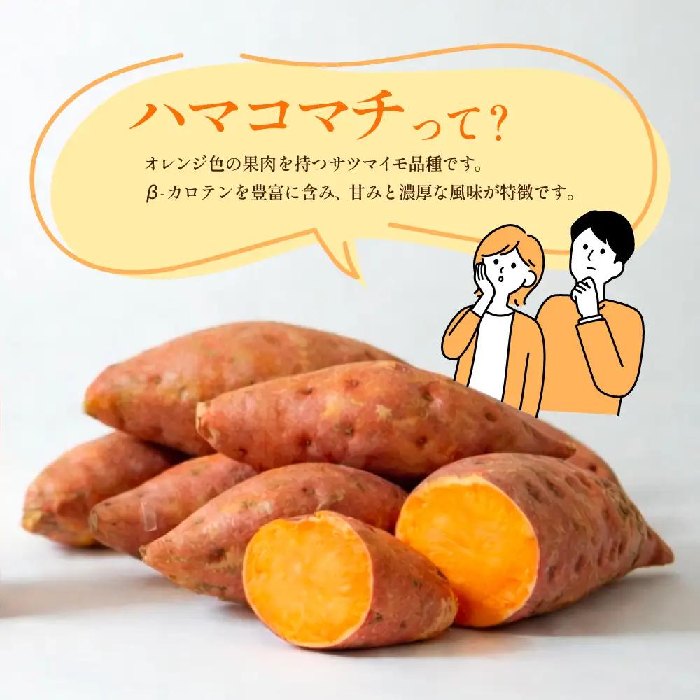 【本格芋焼酎】吹上焼酎 はまこ長期貯蔵（1.8L×1本）一升瓶 本格焼酎 いも焼酎 芋焼酎 はまこ はまこまち お湯割り ロック 水割り ソーダ割り こだわり 匠の技 おすすめ 人気 25度 家飲み 