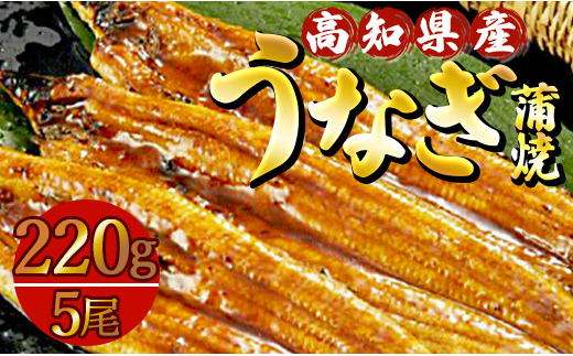 
            うなぎ蒲焼 国産 高知県産養殖うなぎ蒲焼 5尾(合計約1100g) - ウナギ 蒲焼 大容量 ss-0036
          