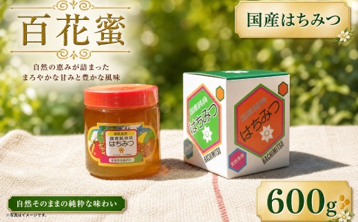 N226x1 太良町産はちみつ【百花蜜600g】江頭(勇)養蜂場 （日本養蜂協会 会員） 太良町 有明海 国産 国産はちみつ 天然はちみつ 百花蜜 ハチミツ 蜂蜜 柑橘のさっぱりとした香り サラサラ クセがない 日本養蜂協会の基準を満たした