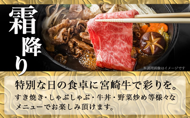 宮崎牛切り落とし500g_12-6503