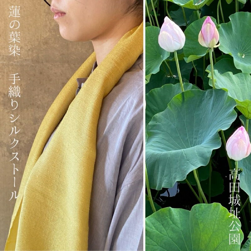 【ふるさと納税】ストール 高田城址公園 蓮の葉染 手織りシルクストール 手織り シルク 新潟 上越 上越市　お届け：ご入金確認後、順次発送いたします。