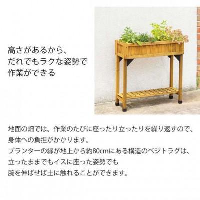 ふるさと納税 海南市 レイズドベッド ハーブプランター スリム ナチュラル　57939600 |  | 03