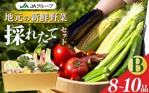 季節の野菜セットB | ヤサイ 野菜 やさい 詰め合わせ セット せっと 詰合せ 組み合わせ まとめ マトメ 奈良県 五條市 果物 新鮮 季節 お試し バーベキュー BBQ おすすめ 冬 春 夏 秋 国産 季節の野菜  