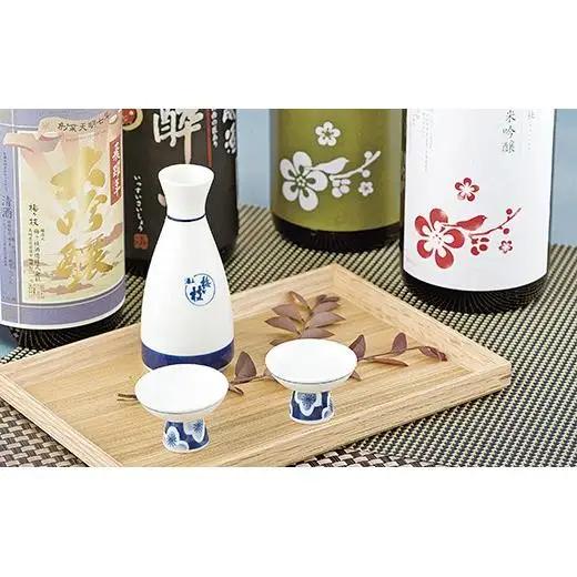 【 日本酒 】純米吟醸 ･ 吟醸酒  呑み比べ  酒 C111b