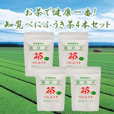 ふるさと納税 南九州市 お茶で健康一番!知覧べにふうき茶4本セット