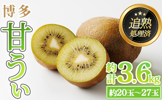 ＜先行予約受付中！2026年11月上旬～11月下旬に順次発送予定＞福岡県ブランド キウイフルーツ 博多 甘うぃ (約計3.6kg：20～27玉) ＜離島配送不可＞【ksg1751】【農産物直売所ほたるの里】