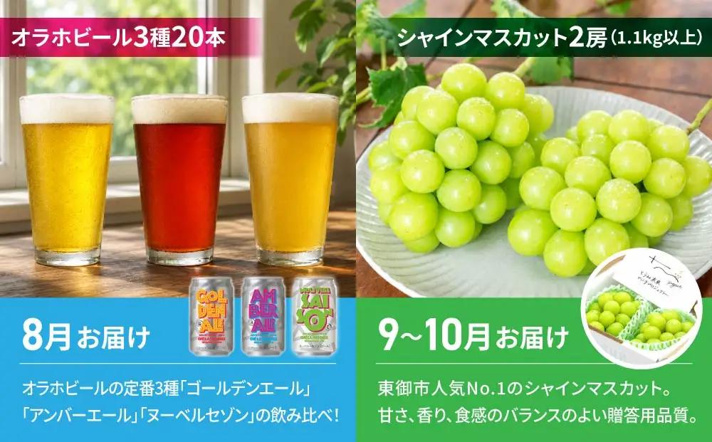 【2回定期便】シャインマスカットと地ビールの人気セット（シャインマスカット2房1.1kg以上とクラフトビール飲み比べ（3種20本））｜【JA信州うえだ／オラホビール】ぶどう 葡萄 大粒 果物 フルーツ
