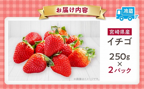 《2026年発送先行予約》【数量・期間限定】宮崎県産イチゴ 250g×2パック 果物 苺 フルーツ
