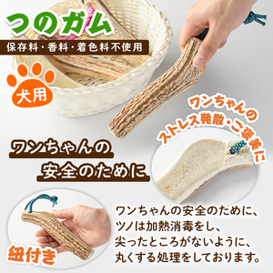 【C7046】＜犬のおやつ・歯固め用＞ エゾ鹿ジァーキィー＆つのガム(各3袋) 犬 ペット 鹿肉ジャーキー 角ガム おやつ 歯固め ジャーキー 犬用ジャーキー ドッグ ガム ドッグガム ペット用 フー