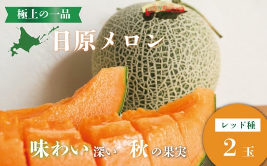 【先行予約】極上の一品「日原メロン（レッド種）」（1.7kg相当×2玉）　YE003