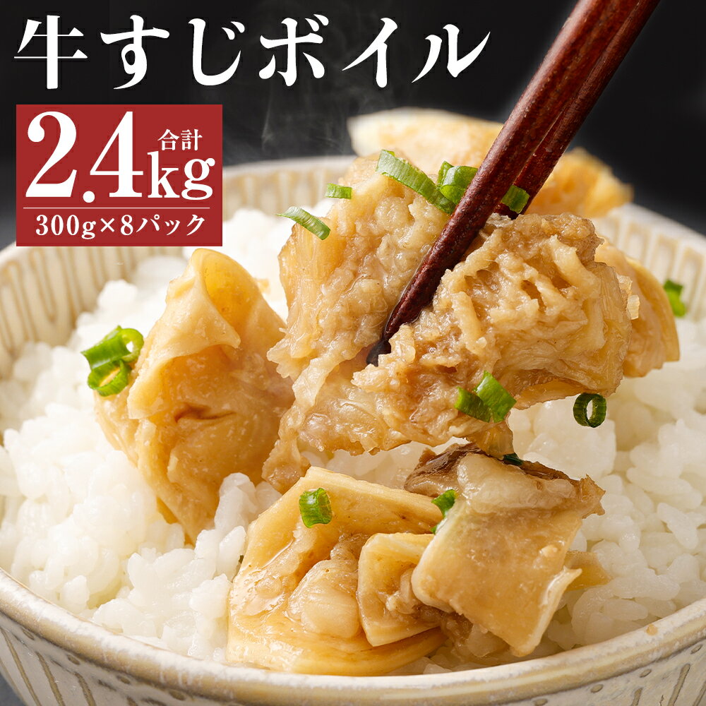 【ふるさと納税】【訳あり】牛すじボイル 合計2.4kg 300g×8パック 下ゆで処理済 一口サイズ カット済み 小分け 牛すじ お肉 牛肉 冷凍 送料無料