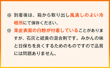 みかん 赤秀品 濃厚完熟温州みかん 約3kg