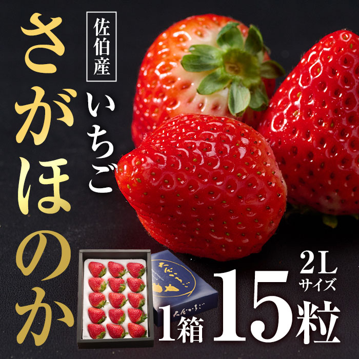 ＜先行予約受付中！2025年1月より順次発送予定＞＜数量限定＞ 佐伯産 いちご さがほのか (2Lサイズ：計15粒・1箱) 大分県産 イチゴ 苺 果物 フルーツ デザート スイーツ 甘い 大分県 佐伯市【BS64】【大分県農業協同組合 南部エリア (佐伯)】