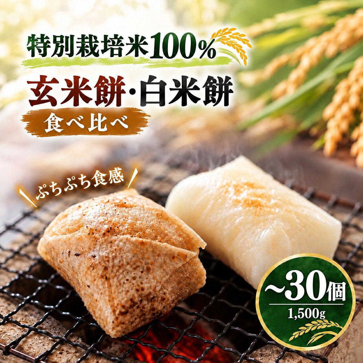 【ふるさと納税】 餅 もち ぷちぷち食感の玄米餅 切り餅 1,500g 1,000g | 切り餅 白米餅 セット 詰め合わせ 食べ比べ 10,000円 2種類 500g 3袋 3パック 2袋 2パック 手作り お取り寄せ 保存料不使用 国産 簡易包装 正月 年内発送 特別栽培米100％使用 島村園芸 埼玉県 宮代町