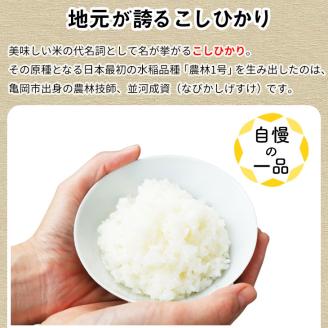 【9月より新米】【定期便】米 京都丹波米こしひかり5kg×12回 計60kg○ 12ヶ月 12か月 白米 ※精米したてをお届け ｜契約栽培米 緊急支援 米 コシヒカリ 京都丹波産 ※北海道・沖縄・離島