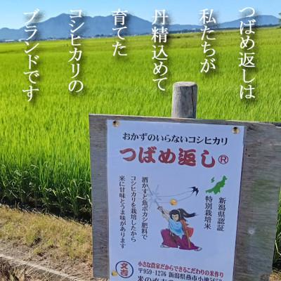 ふるさと納税 燕市 【8年産新米先行予約 】おかずのいらないコシヒカリ「つばめ返し」玄米 20kg |  | 03