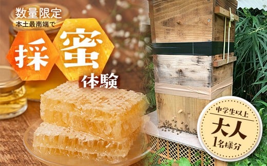 【期間限定】数量限定！『本土最南端で採蜜体験』大人1名（中学生以上） CC7001｜はちみつ 採蜜 体験 人気 養蜂 日本みつばち 自然 南大隅町
