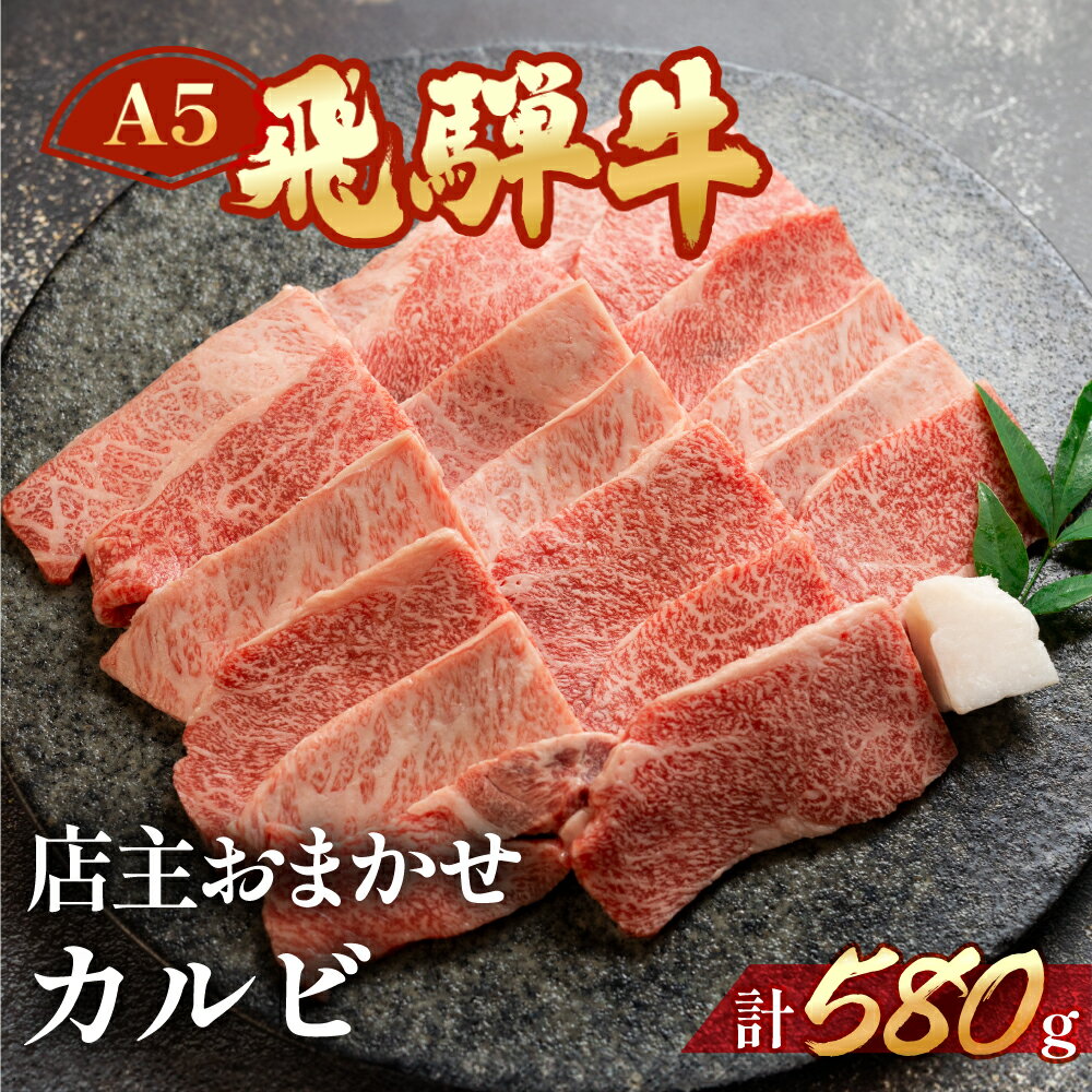 【ふるさと納税】A5 飛騨牛 店主おまかせ カルビ 580g【冷凍】 部位お任せ 訳あり 焼き肉 牛肉　焼肉 肉 和牛 人気 ブランド牛 肉ギフト 国産 贈答品 焼き肉用 ギフト 和牛 20000円 2万円 岐阜県 下呂市
